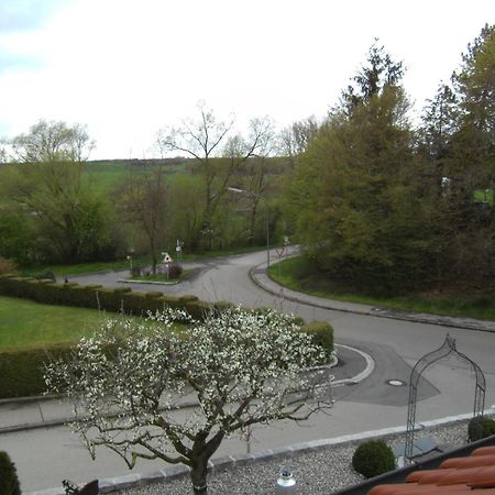 Apartment Guenzblick Ellzee Εξωτερικό φωτογραφία